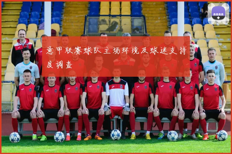 意甲联赛球队主场环境及球迷支持度调查